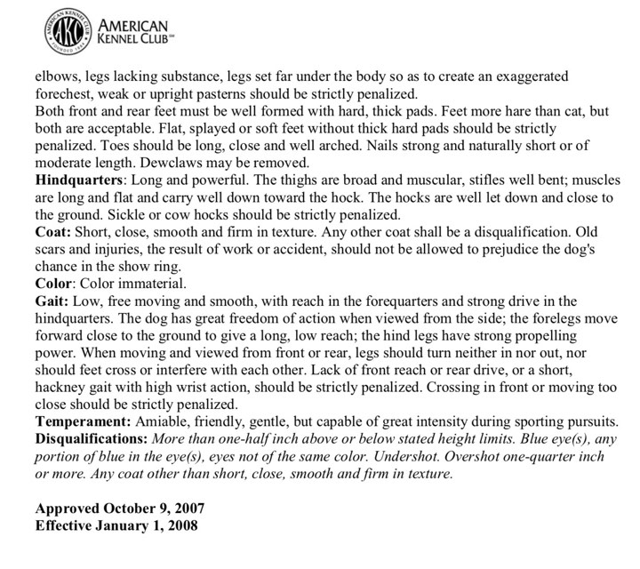 AKC Whippet Standards Page2