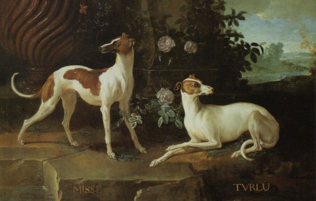Italian Greyhounds or Whippets? by Jean-Baptiste Oudry (French rococo painter, 1686-1755).