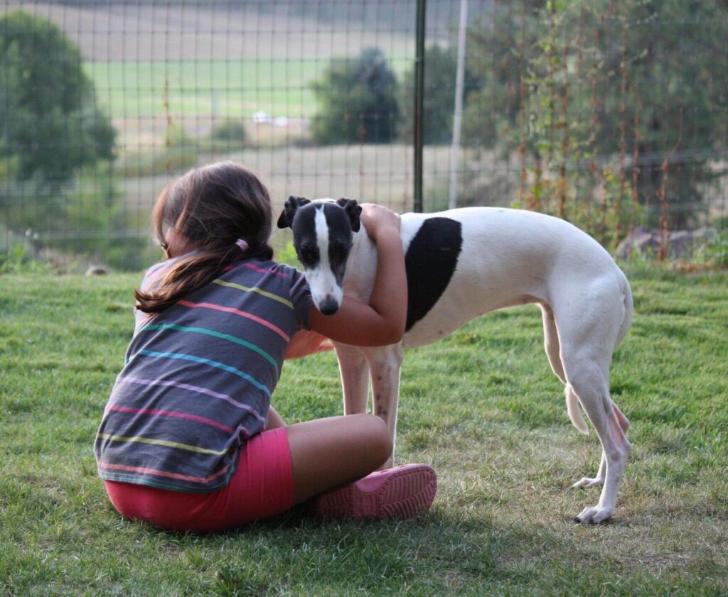 a girl and her whippet sharing some love