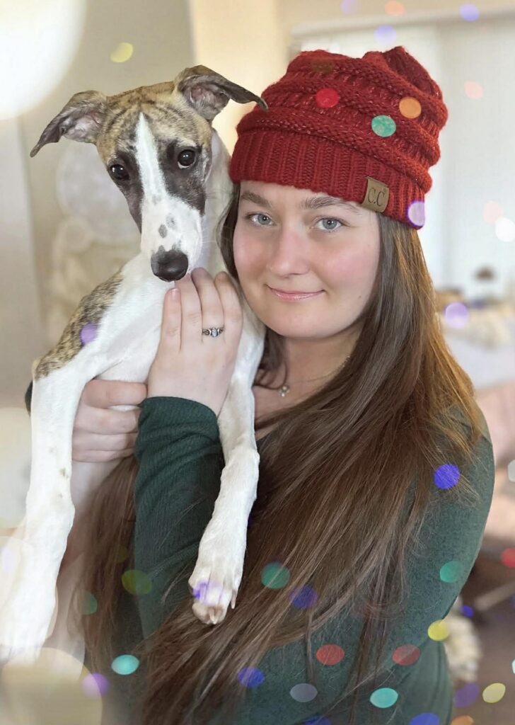 whippets for sale in the PNW
