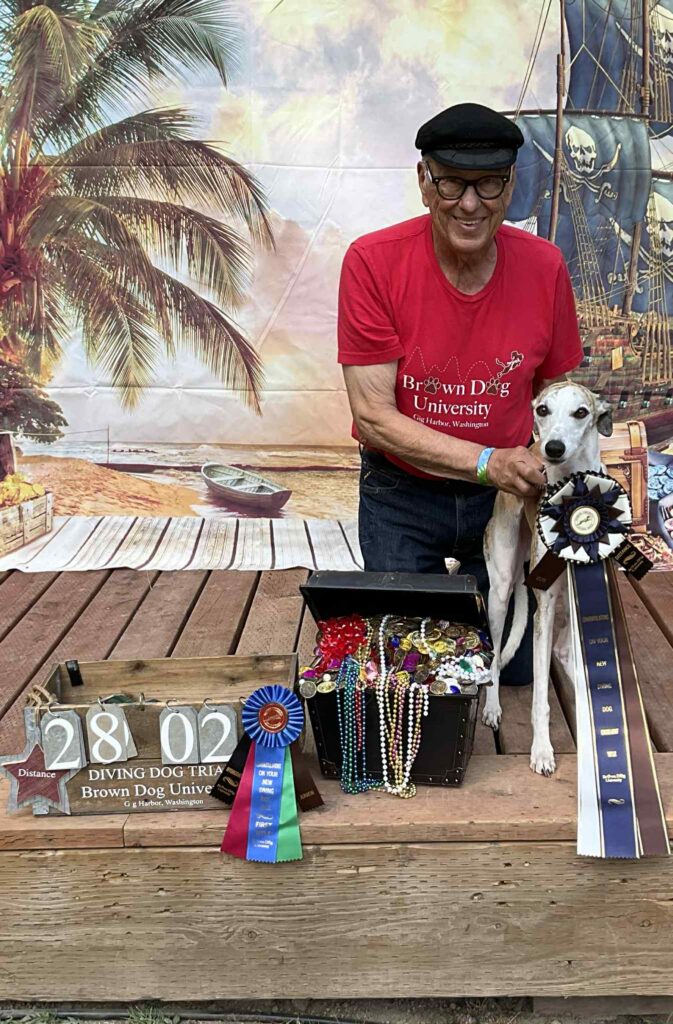 akc whippet puppies for sale
